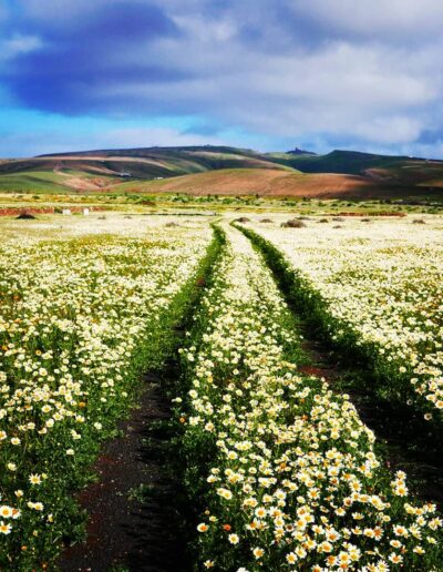 RobertoSignorelliFoto - Fotógrafo en Lanzarote