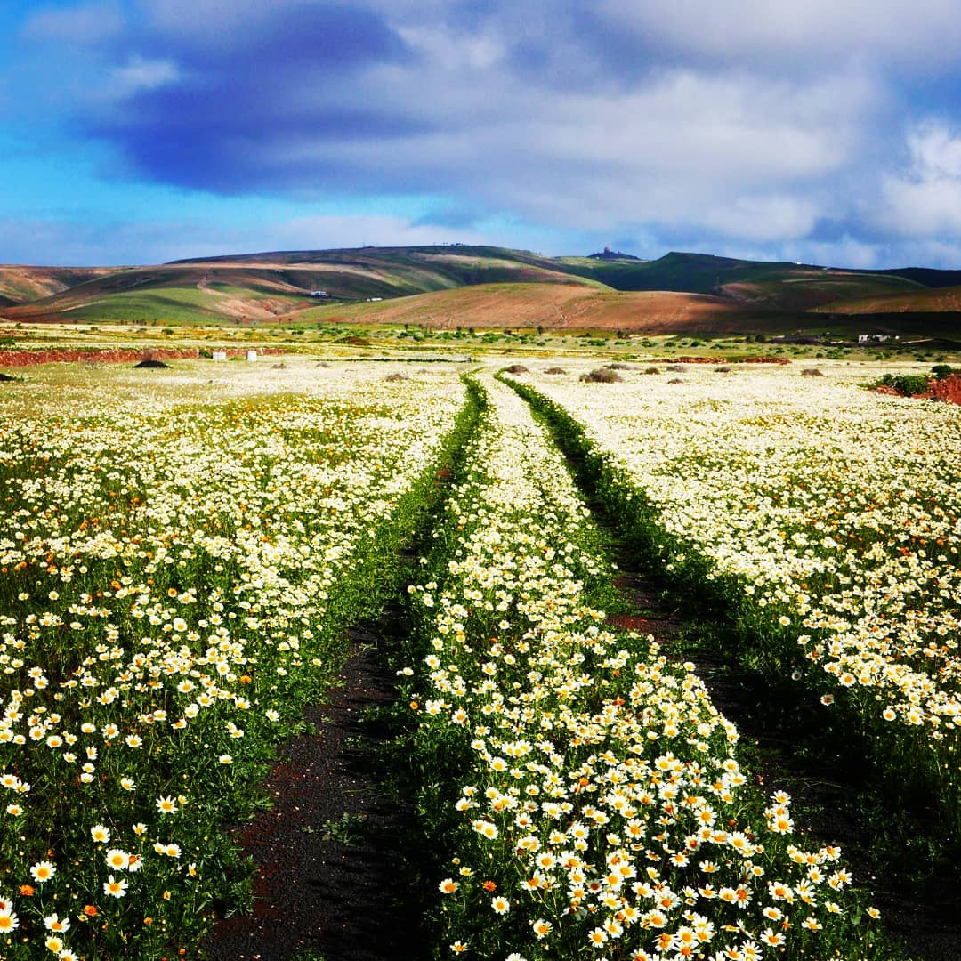 RobertoSignorelliFoto - Fotógrafo en Lanzarote