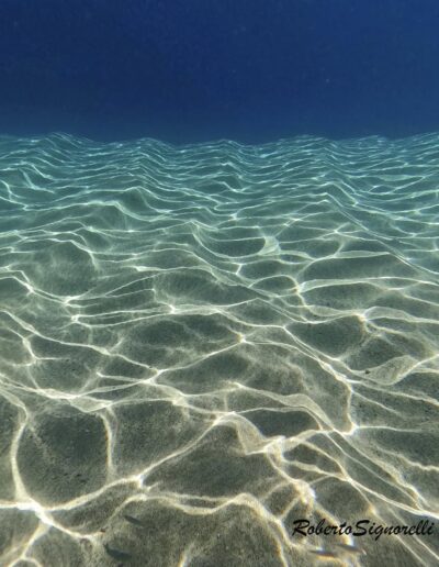 Paisaje submarino con reflejos