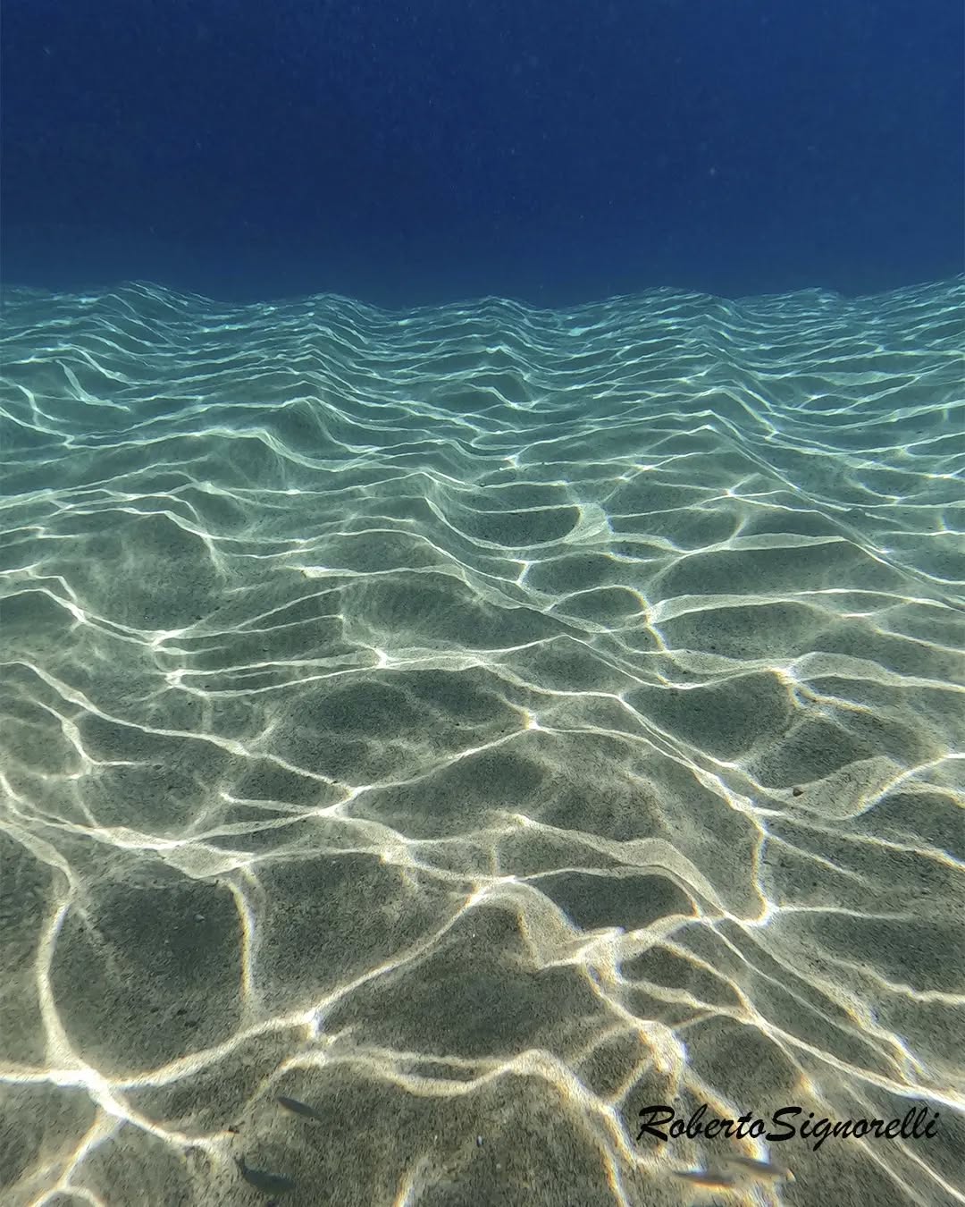 Paisaje submarino con reflejos