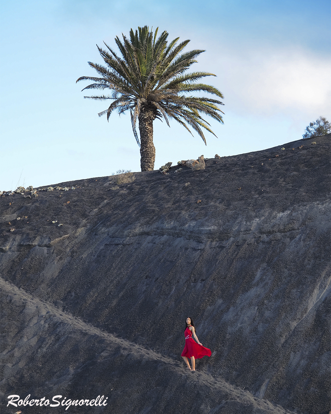 En rojo con palmera