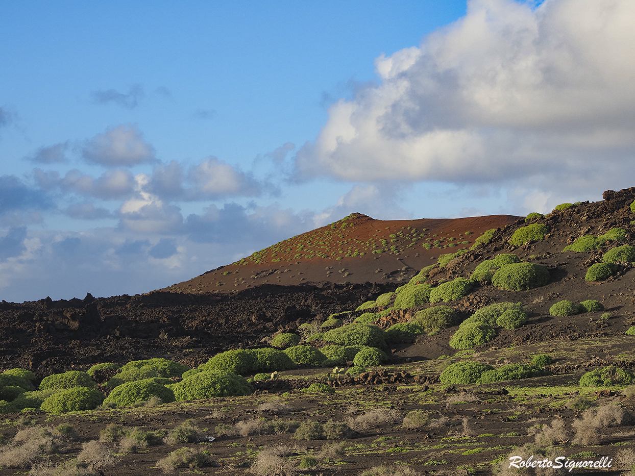 Paisaje volcanico de Lanzarote en invierno