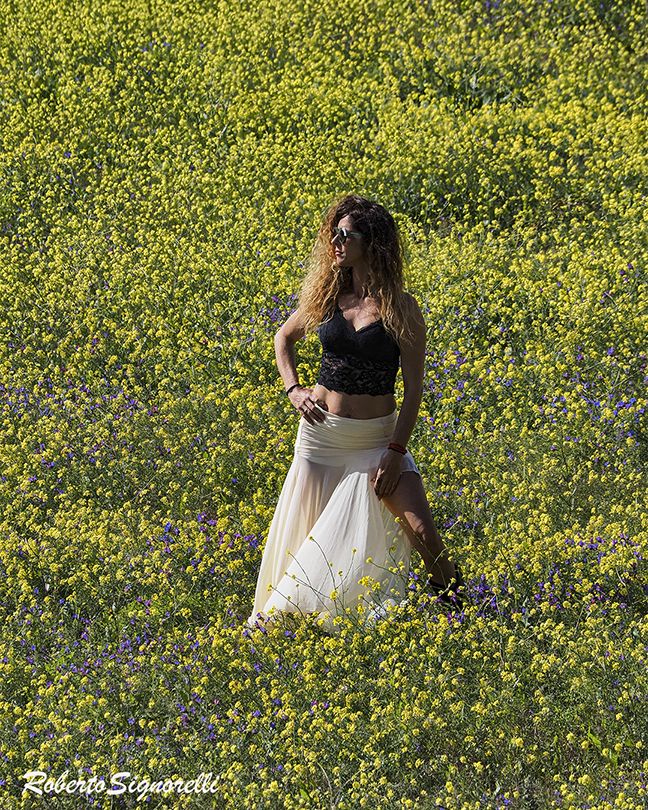 Entre flores amarillos